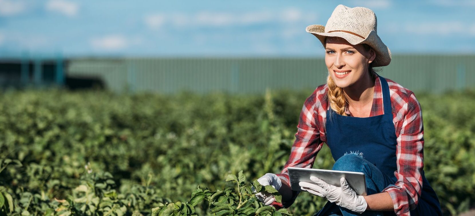 ERP no agronegócio: entenda sua importância para gestão excelente